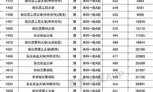 2013黑龙江高考录取分_13高考黑龙江