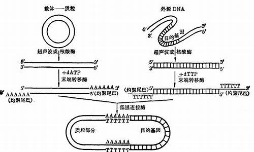 基因工程高考题_基因工程高考题目