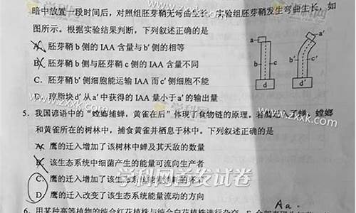 广西2016高考理综答案-2016年广西高考理科数学试卷